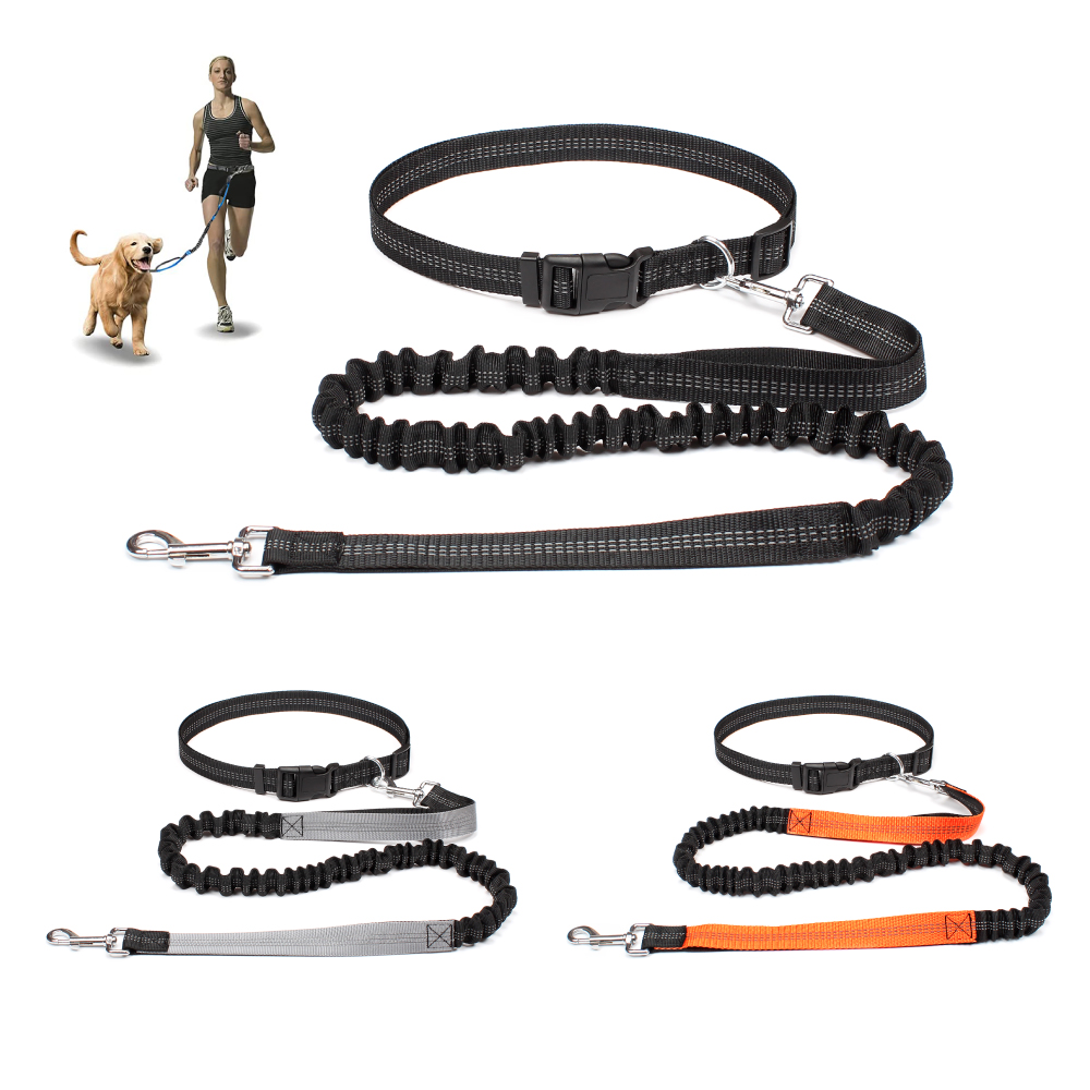 Running Jogging Gear - Evcil Hayvanları Yürütmek, Koşmak, Egzersiz Yapmak
